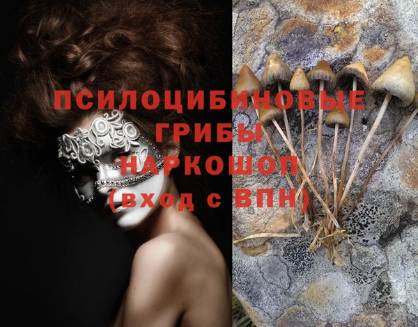 дживик Бронницы