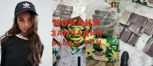 дживик Бронницы