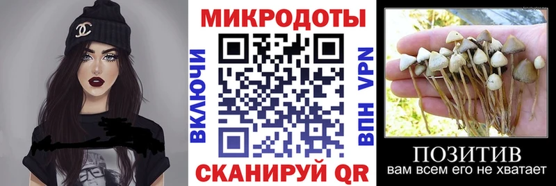 Купить закладки  Сусуман  Псилоцибиновые грибы Cubensis 